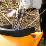 Gartenarbeit, Baumschnitt, schreddern, häckseln, Gartensaison